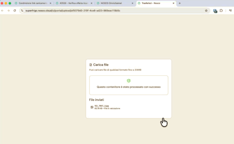 File pesanti e sicurezza dei dati: perché evitare piattaforme esterne quando possibile